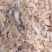 鸡胸碎肉