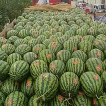 西瓜