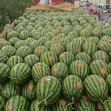 西瓜