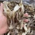 鹿茸菇干鹿茸菇干货菌菇a级鹿茸菇c级鹿茸菇无碎渣不发黄
