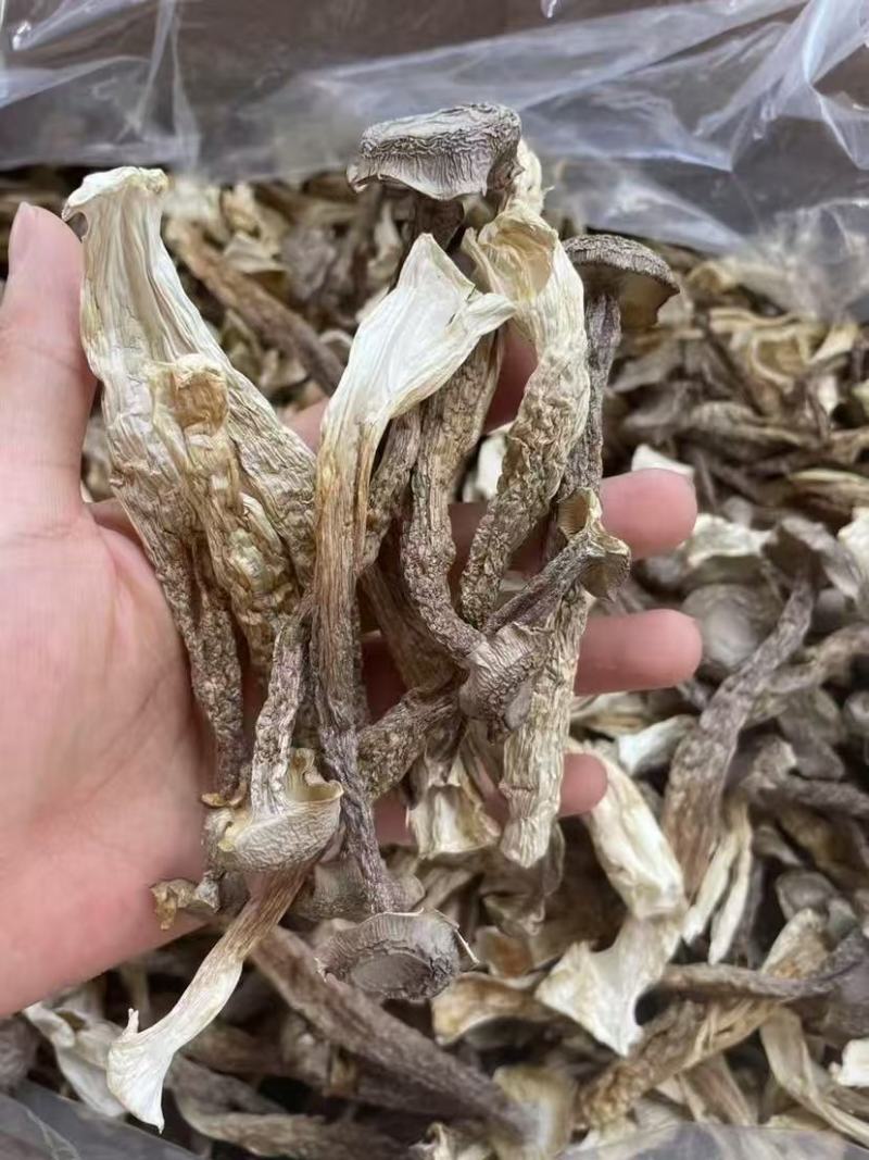 鹿茸菇干鹿茸菇干货菌菇a级鹿茸菇c级鹿茸菇无碎渣不发黄