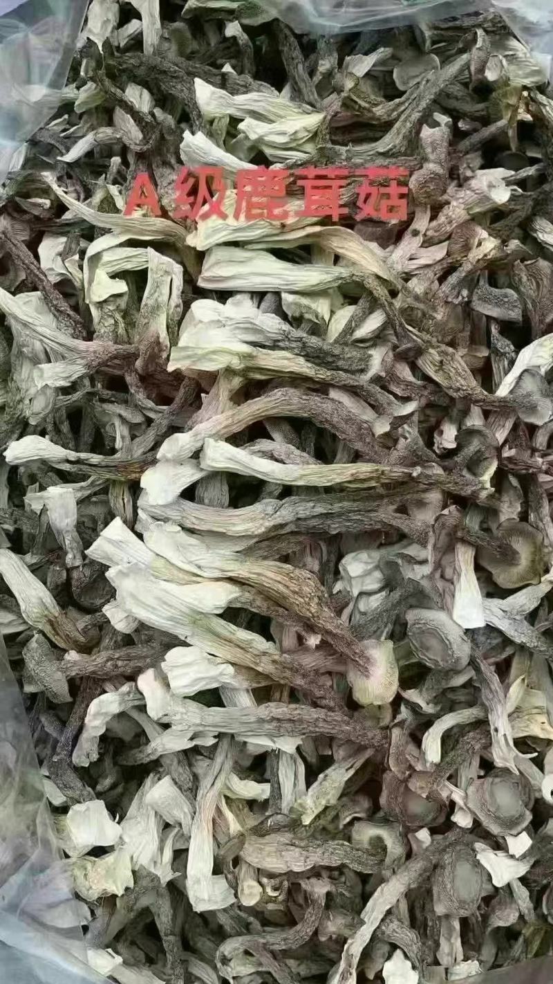 鹿茸菇干鹿茸菇干货菌菇a级鹿茸菇c级鹿茸菇无碎渣不发黄