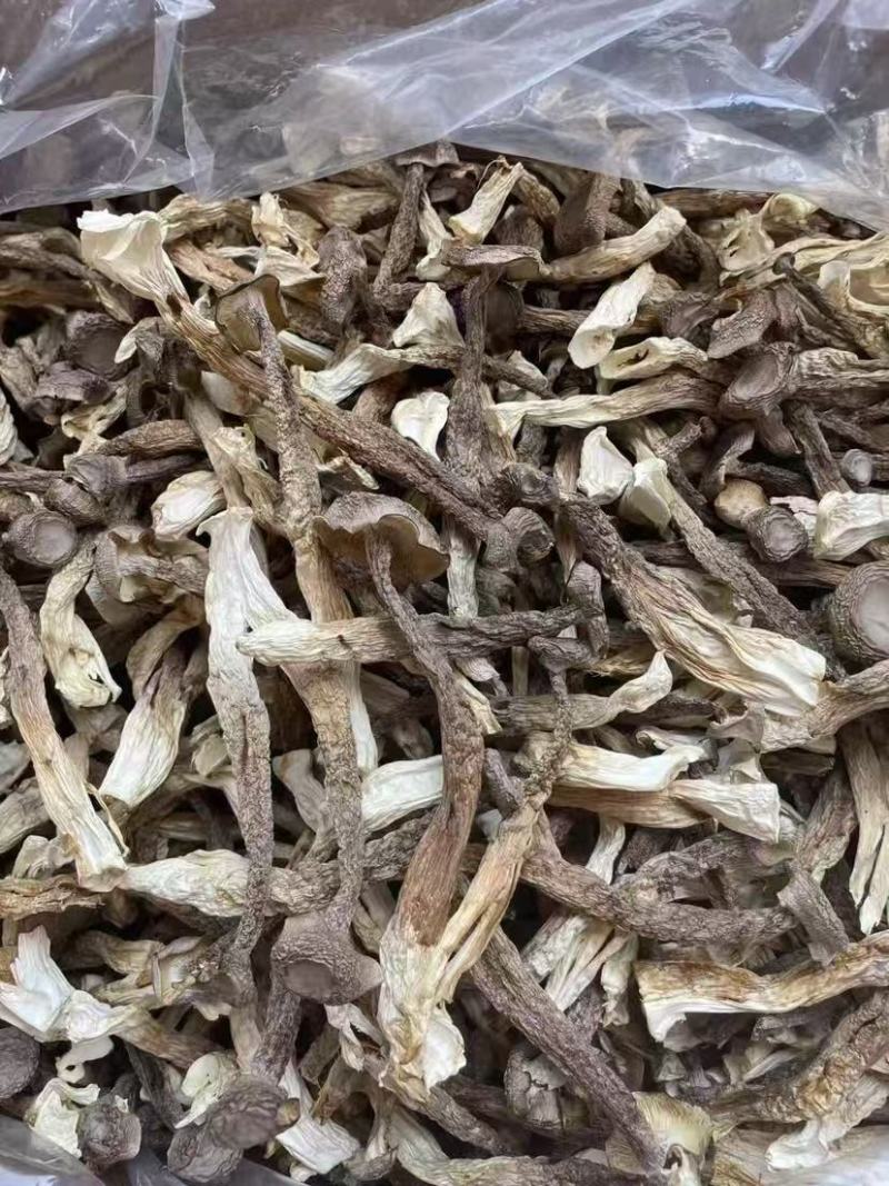 鹿茸菇干鹿茸菇干货菌菇a级鹿茸菇c级鹿茸菇无碎渣不发黄