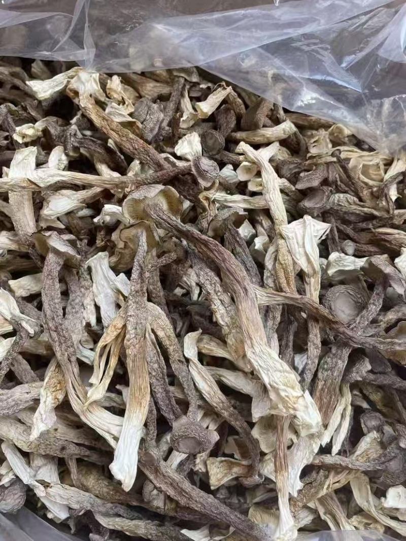 鹿茸菇干鹿茸菇干货菌菇a级鹿茸菇c级鹿茸菇无碎渣不发黄
