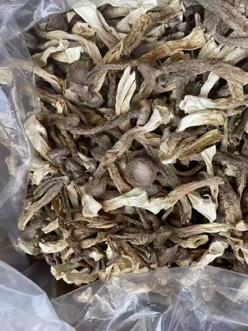 鹿茸菇干鹿茸菇干货菌菇a级鹿茸菇c级鹿茸菇无碎渣不发黄