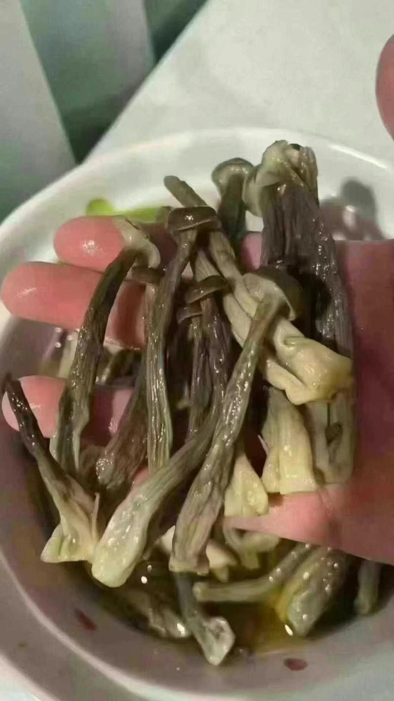 鹿茸菇干鹿茸菇干货菌菇a级鹿茸菇c级鹿茸菇无碎渣不发黄