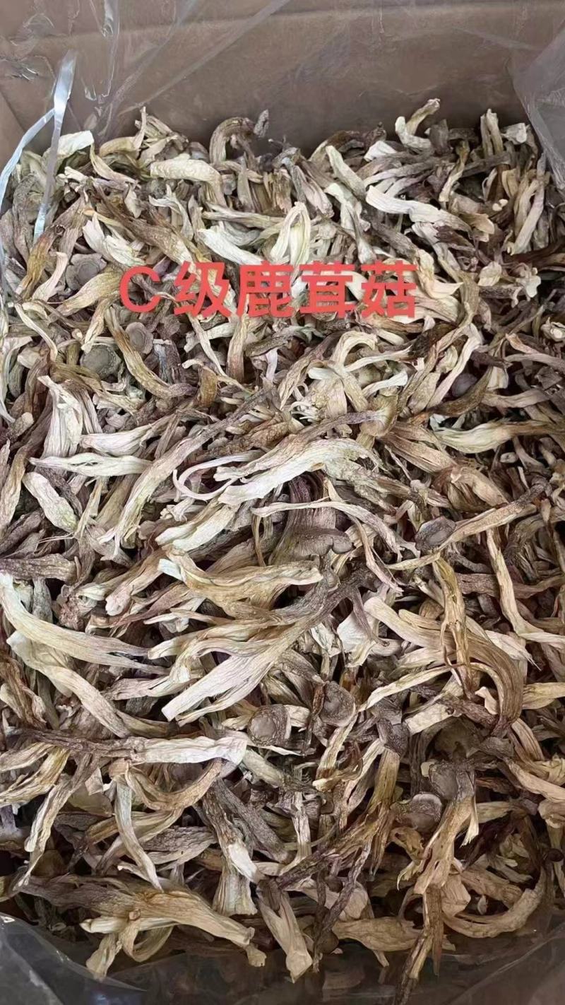鹿茸菇干鹿茸菇干货菌菇a级鹿茸菇c级鹿茸菇无碎渣不发黄