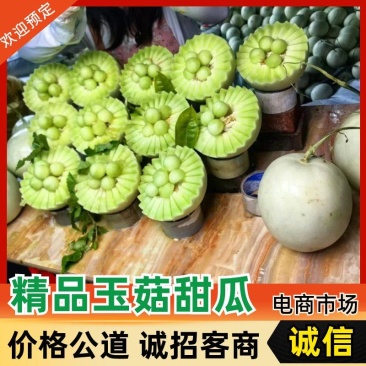精品玉菇甜瓜产地直发量大从优质量保证诚信经营