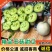 精品玉菇甜瓜产地直发量大从优质量保证诚信经营