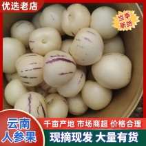 云南产区人参果/产区直发/货源充足/欢迎选购