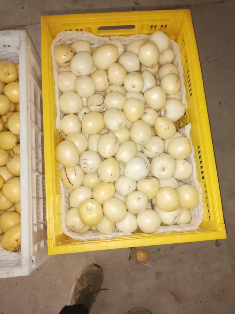云南产区人参果/产区直发/货源充足/欢迎选购