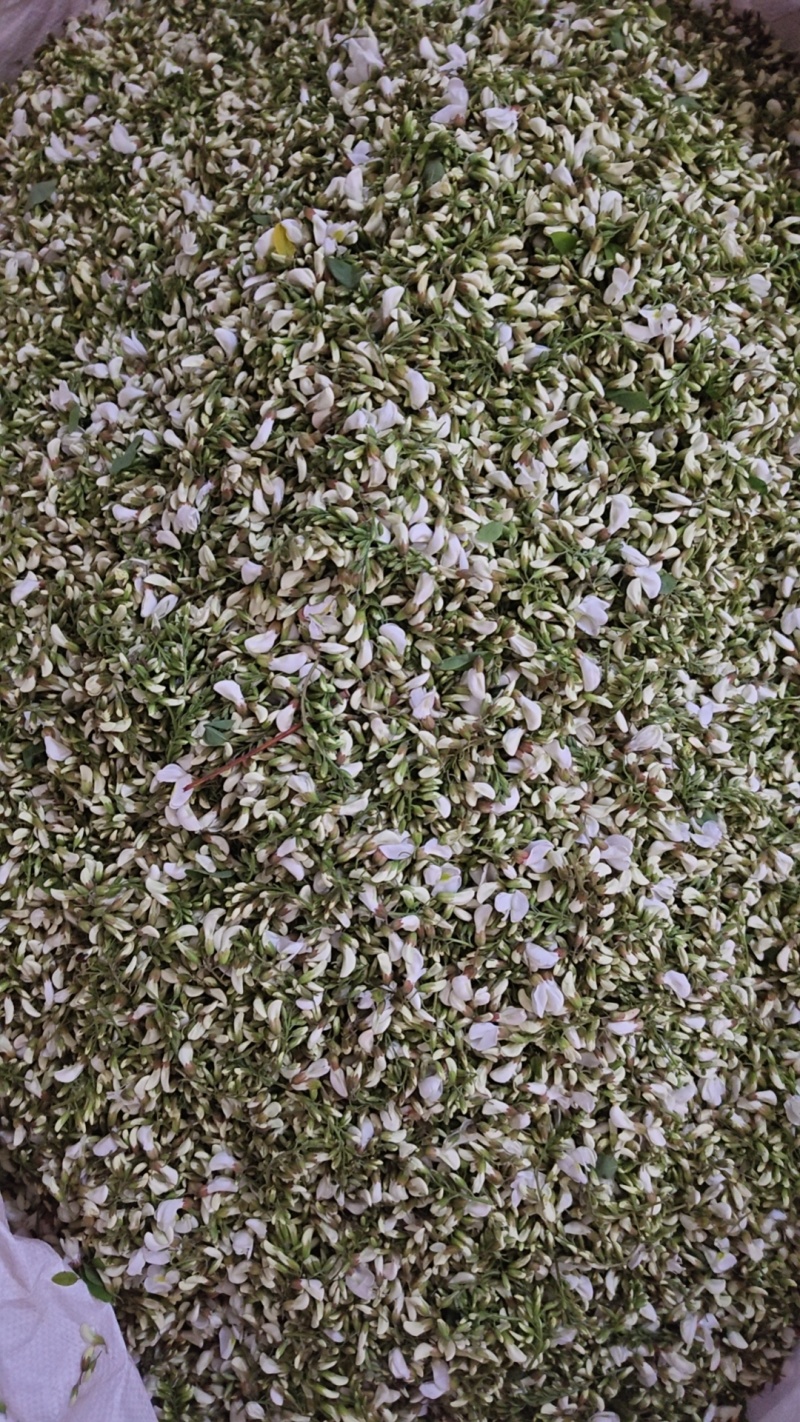 南阳杨槐花对接商城贸批发市场支持视频验货