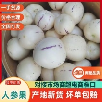 人参果/云南直发/货源充足/大量现货/欢迎选购