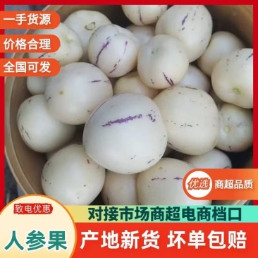 人参果/云南直发/货源充足/大量现货/欢迎选购