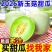 玉菇冰激凌甜瓜，电商平台发货，甜度18个糖，包售后，市场