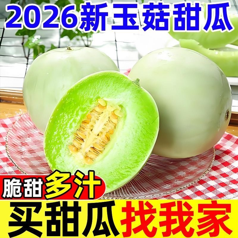 玉菇冰激凌甜瓜，电商平台发货，甜度18个糖，包售后，市场