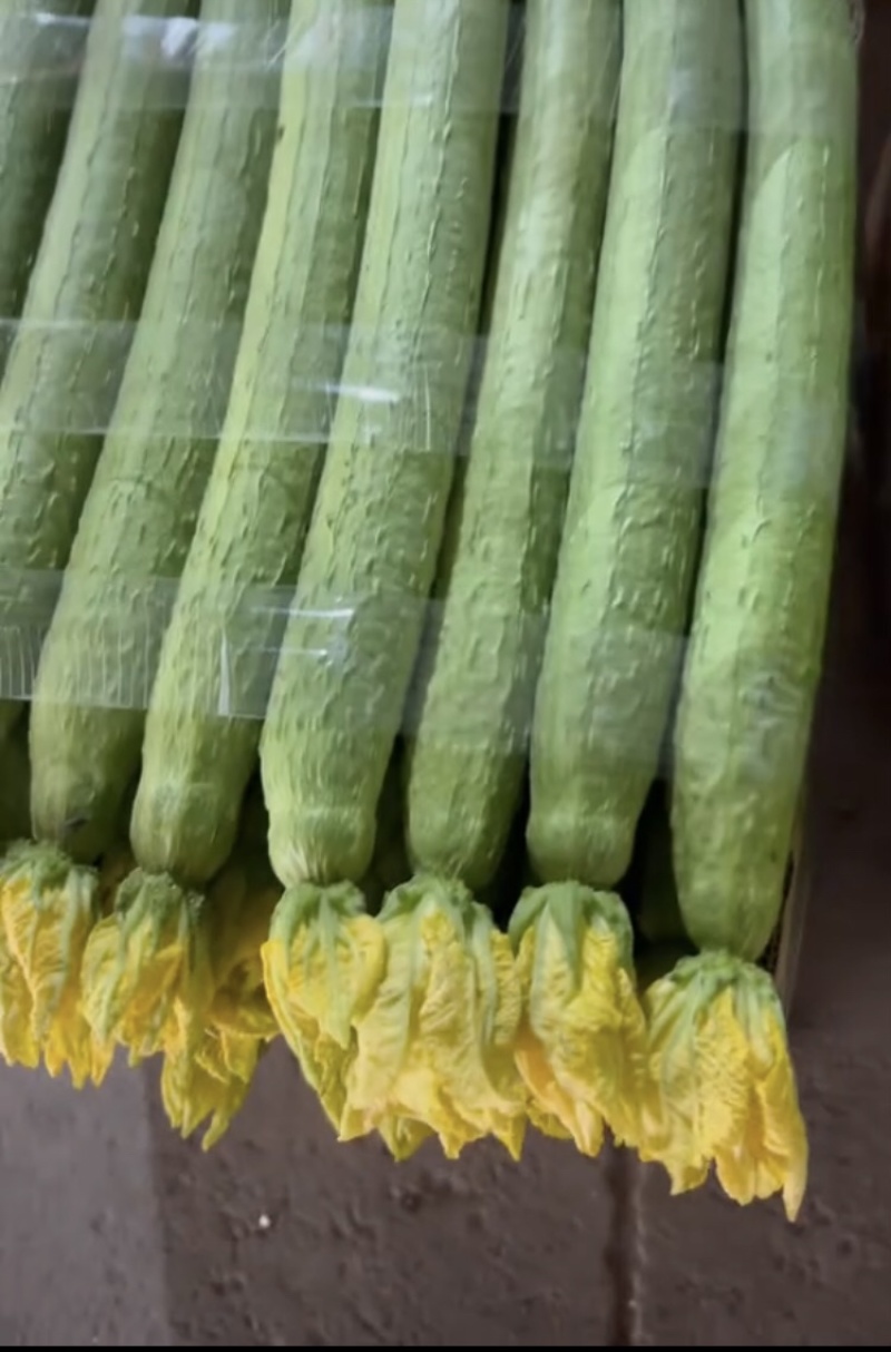 鲜花丝瓜，产地直发，大量有货，欢迎各位老板咨询采购