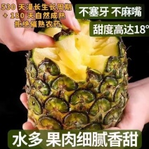 西双版纳金钻凤梨脆甜