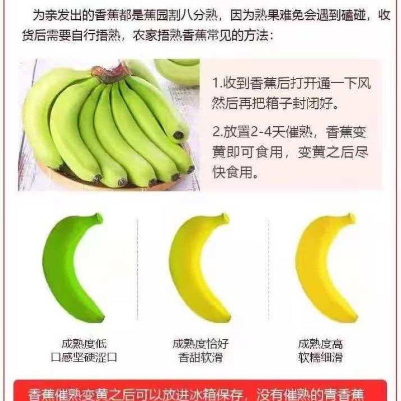 云南香蕉