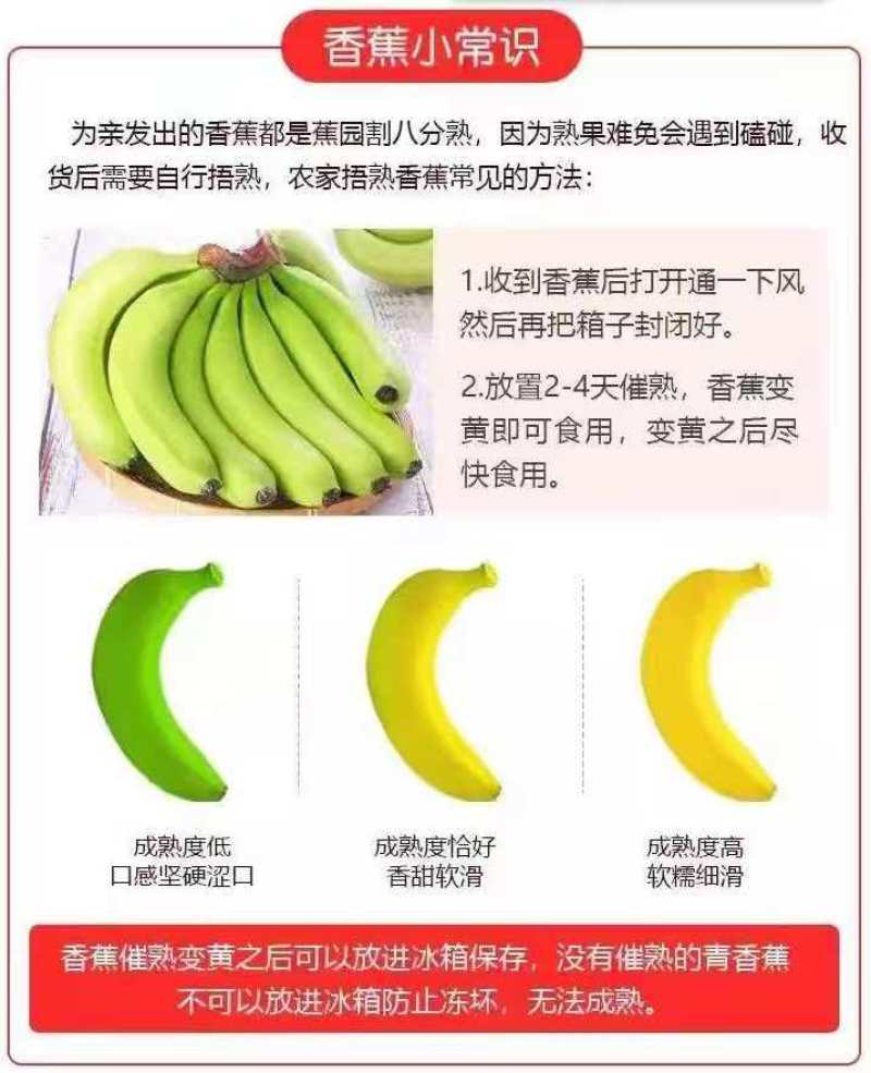 云南香蕉