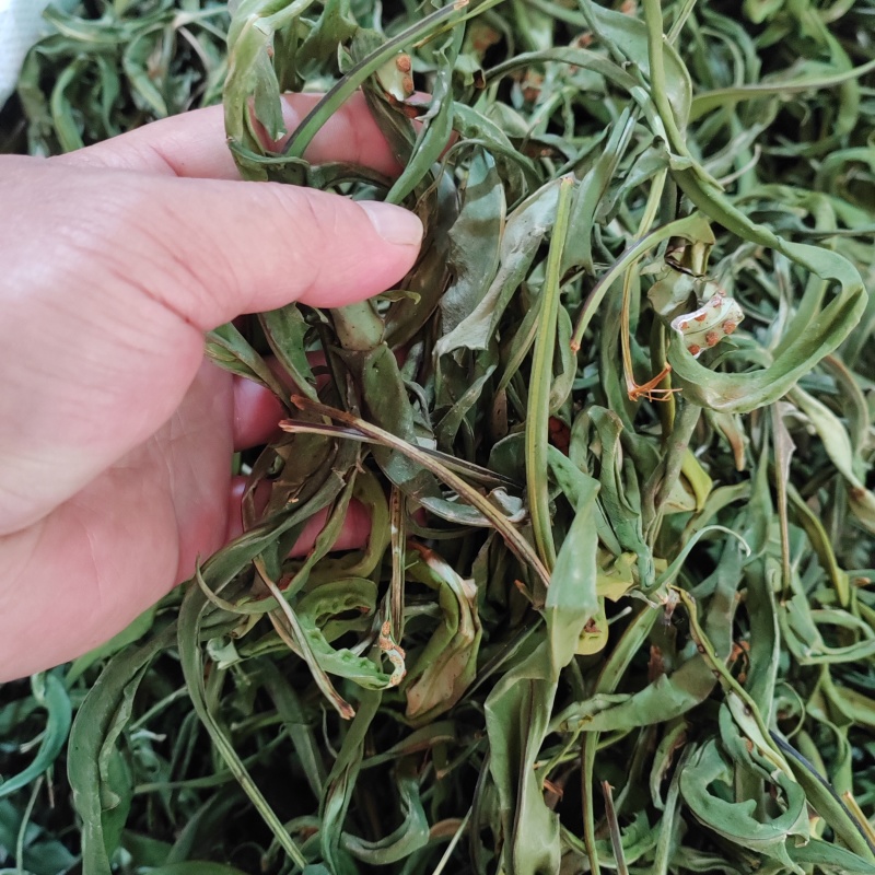 肾精茶无硫长白山野生足干货青绿色