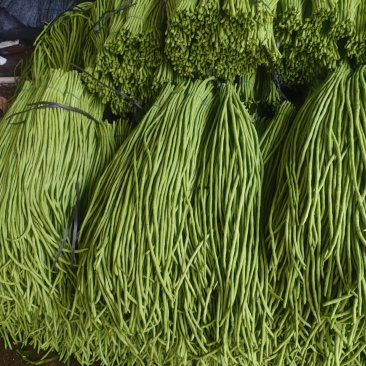 长豆角量大管饱