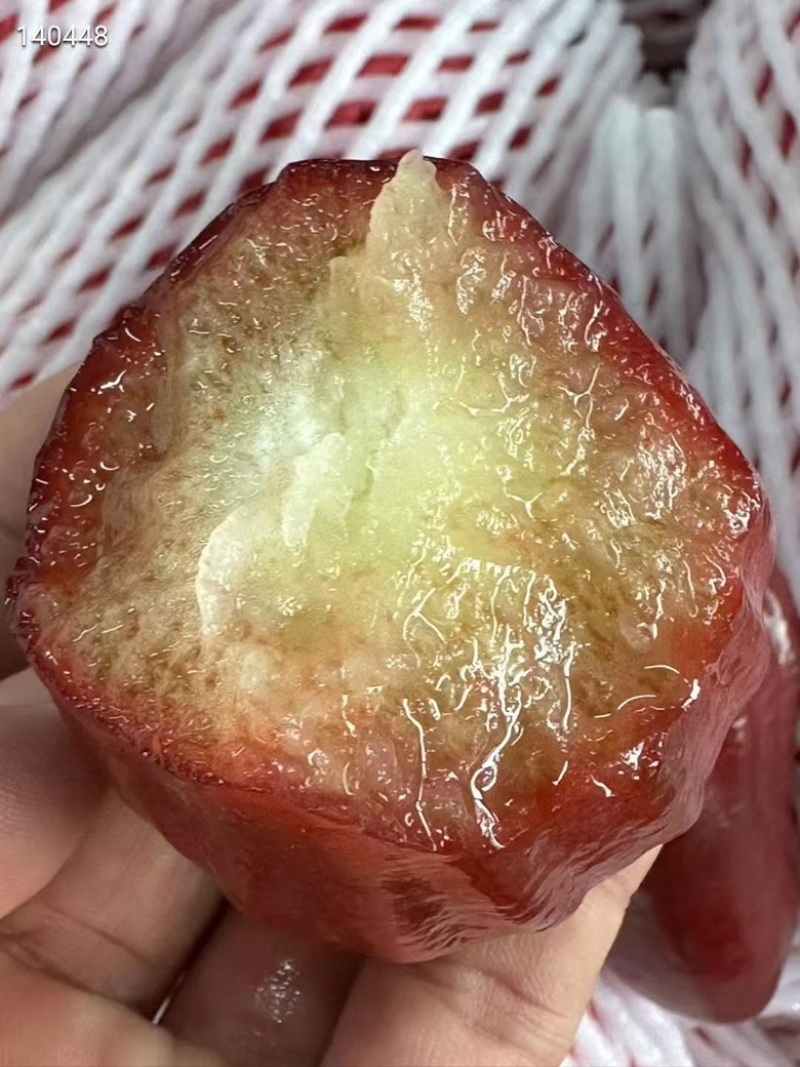 海南三亚黑金刚莲雾树上熟当新鲜水果清甜多汁脆爽可口