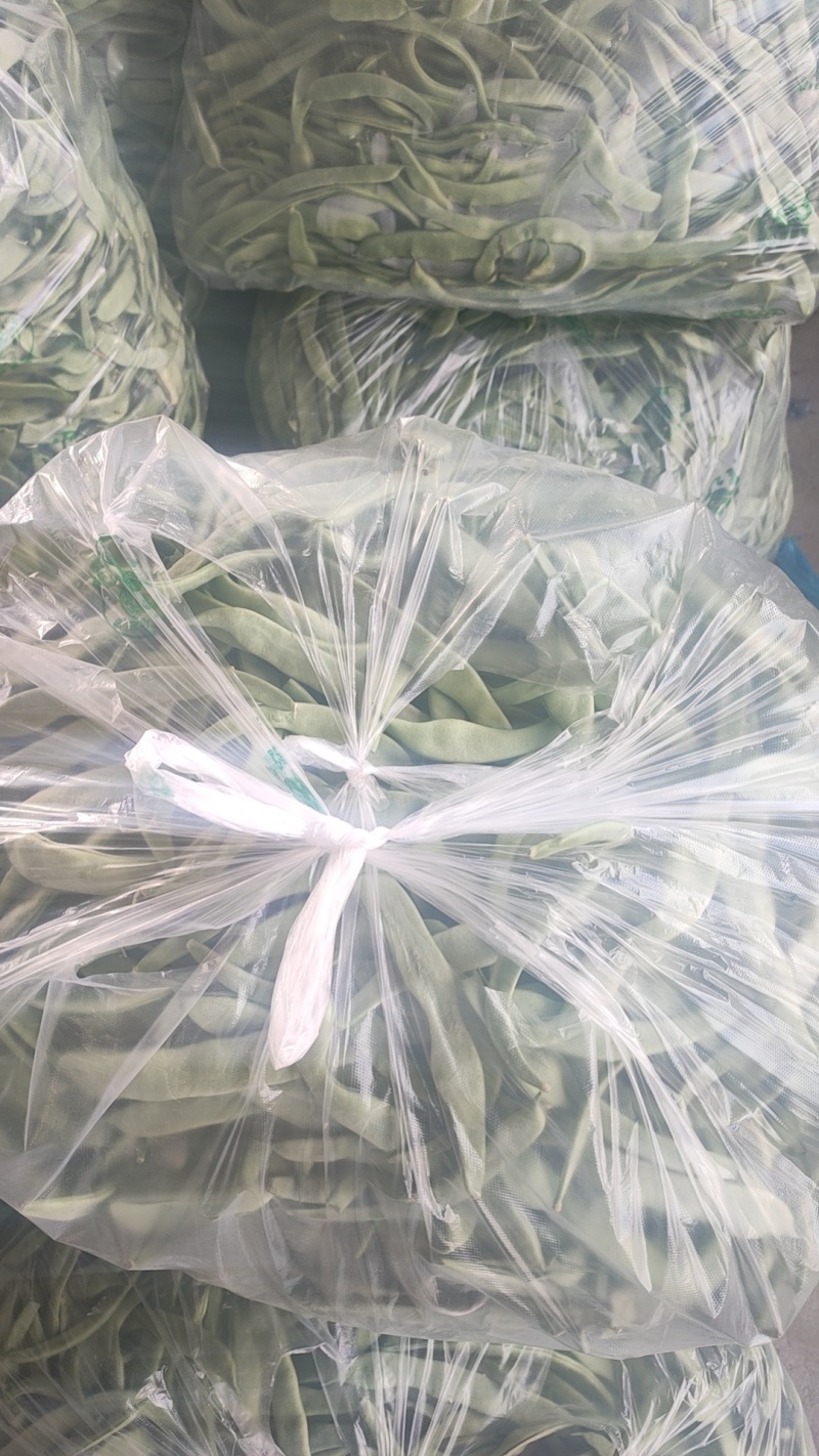 河南省滑县直供精品扁豆