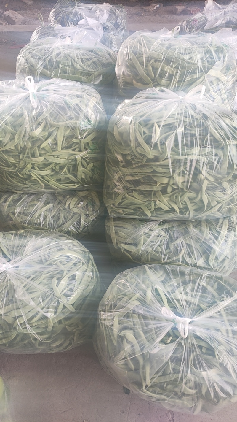 河南省滑县直供精品扁豆