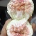 波姬红无花果