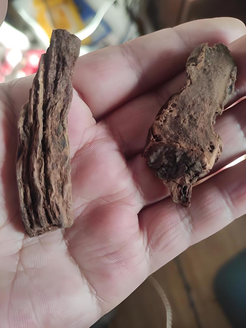 肉苁蓉新疆肉苁蓉条，沙漠人参软条蒸条可选
