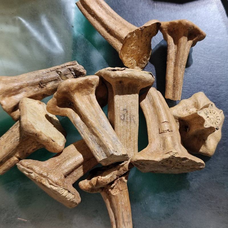 南瓜蒂中药材无虫无硫2斤包邮量大优惠