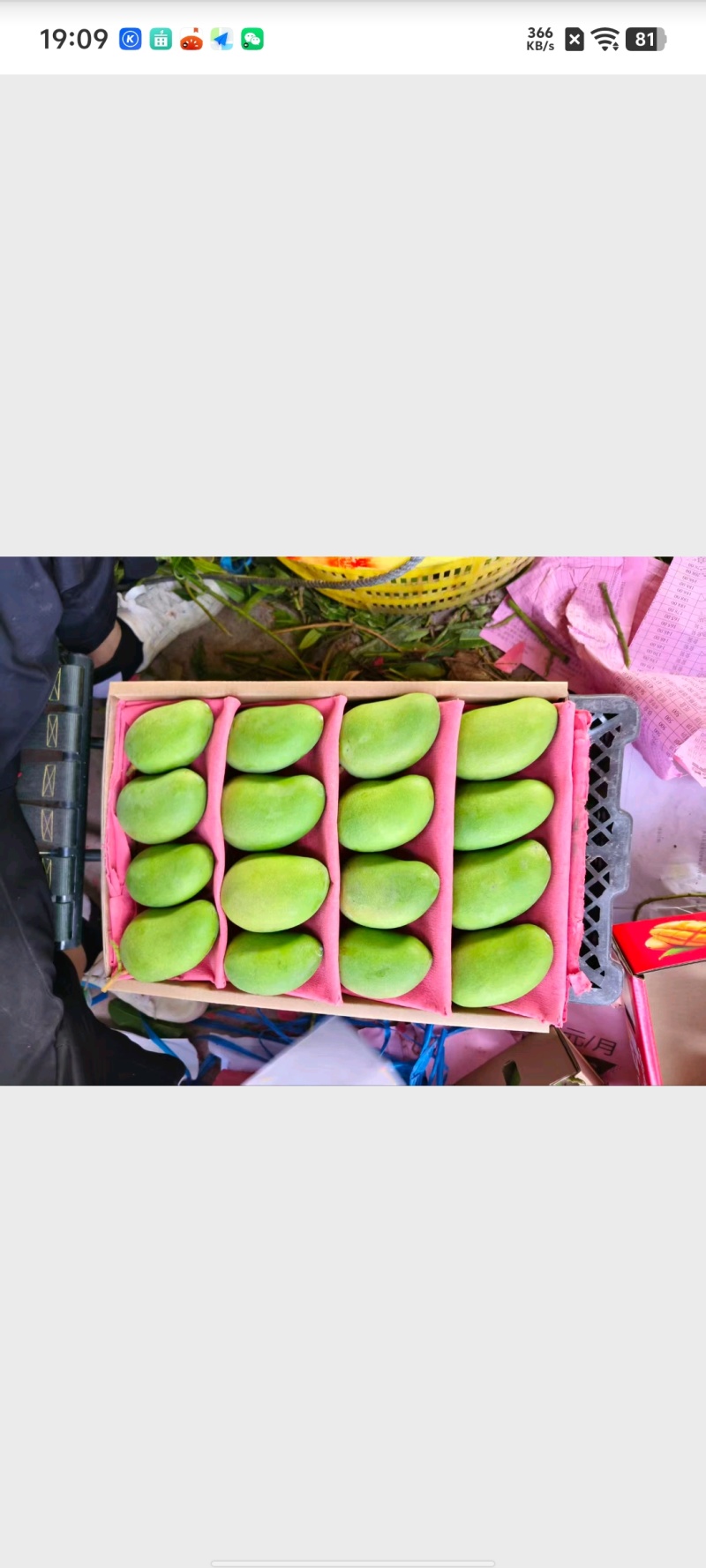 《包邮》广西百色小台芒一件代发全国发货售后无忧产地直发