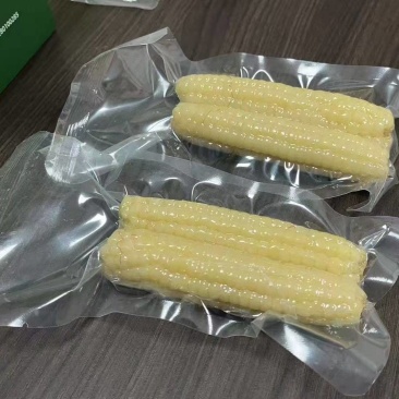 小拇指玉米小花糯玉米（开带及食）