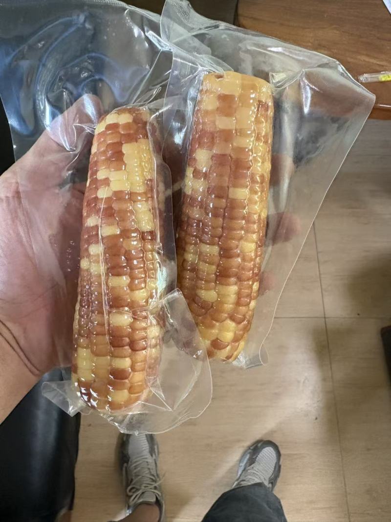 小拇指玉米小花糯玉米（开带及食）