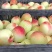陆地大毛桃需要大量客商货源充足