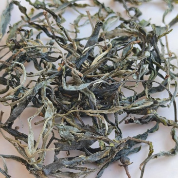 易武山头茶