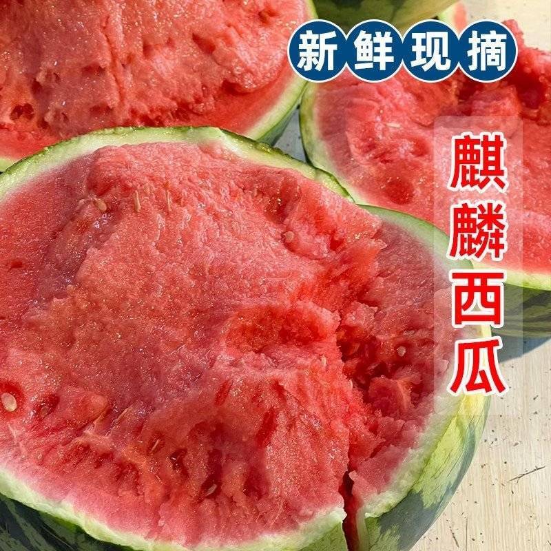 山西夏县/美都西瓜/麒麟西瓜/产地直发/品质保证/诚信/