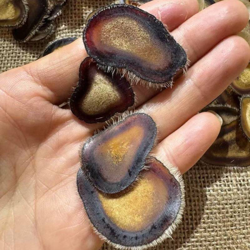 足干鹿茸半腊片