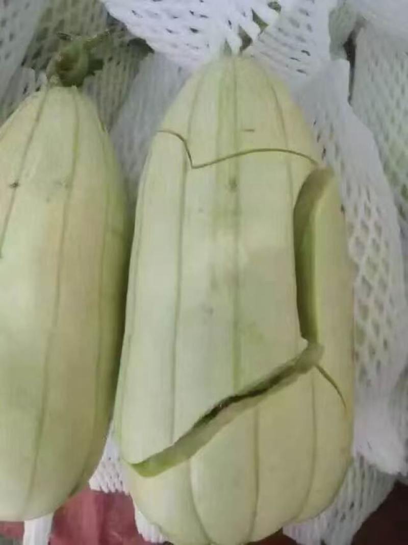 高石脆瓜