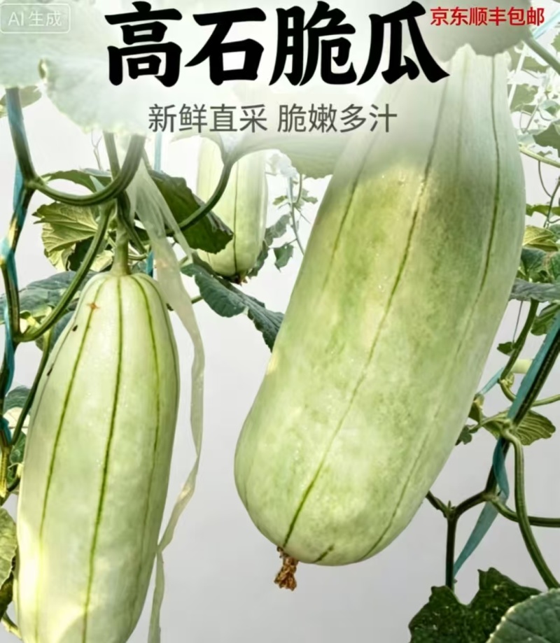 高石脆瓜