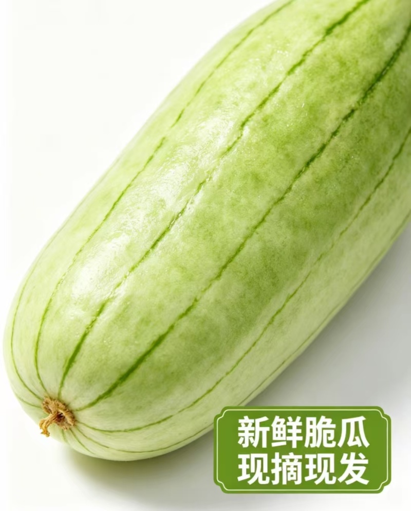 高石脆瓜