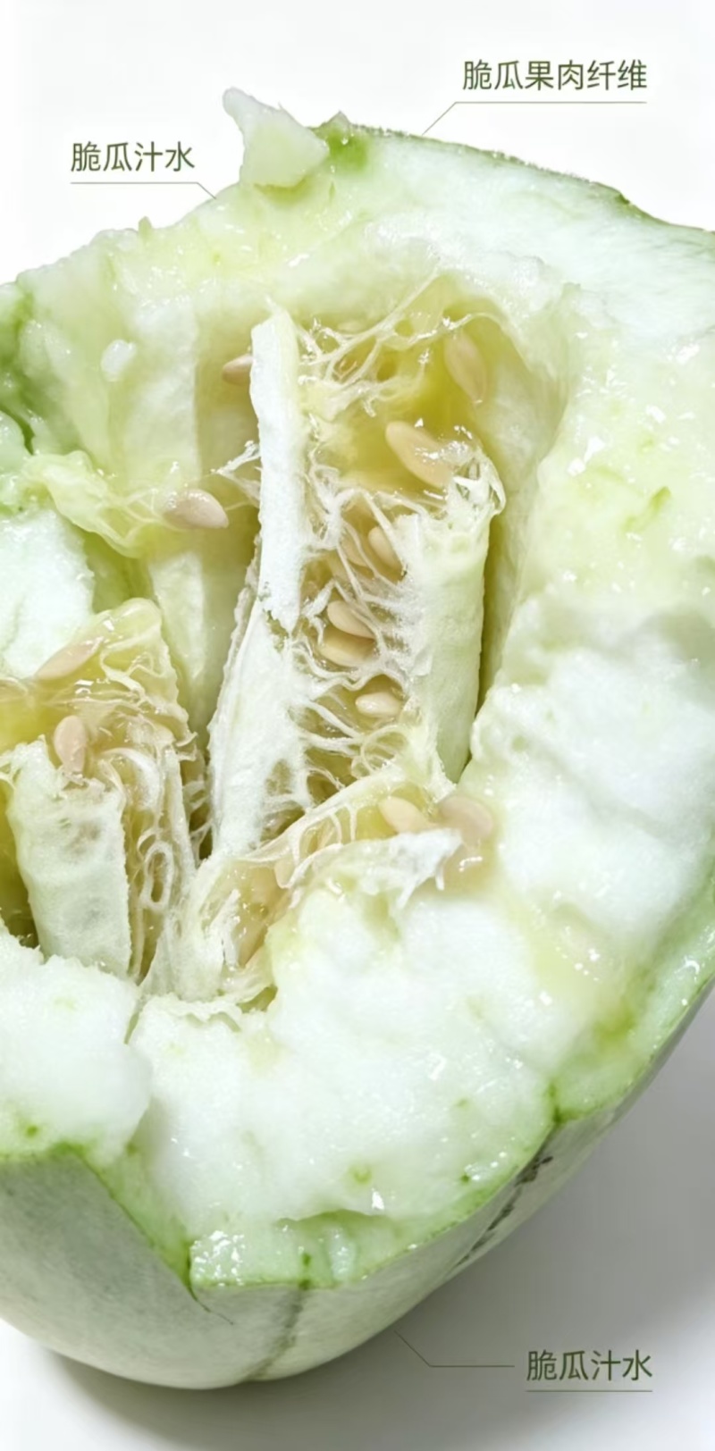 高石脆瓜