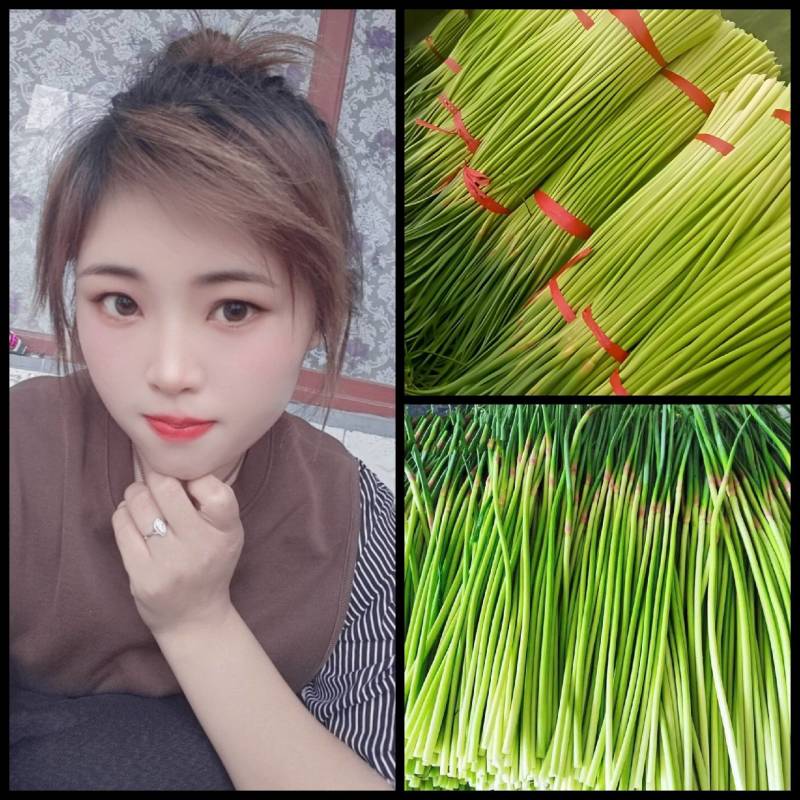 山东产地红毛蒜苔对接各大商超市场代发全国