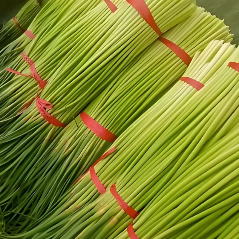 山东产地红毛蒜苔对接各大商超市场代发全国