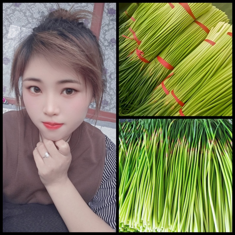山东产地红毛蒜苔对接各大商超市场代发全国