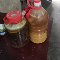 贵州土蜂蜜