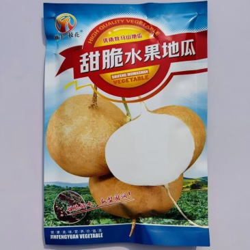 甜脆水果地瓜种子早熟瓜皮薄甜脆可口地瓜种子