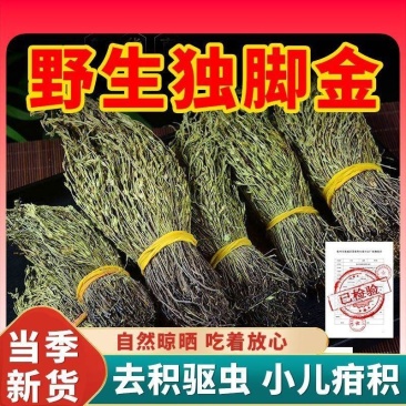 广西正宗新货野采独脚金煮水煲汤新鲜生晒干