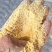 养殖玉米面，鸡鸭鹅牛羊猪适口性好营养高含胚芽代替玉米